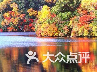 往日不再