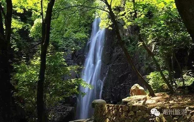 卡通骆驼救援