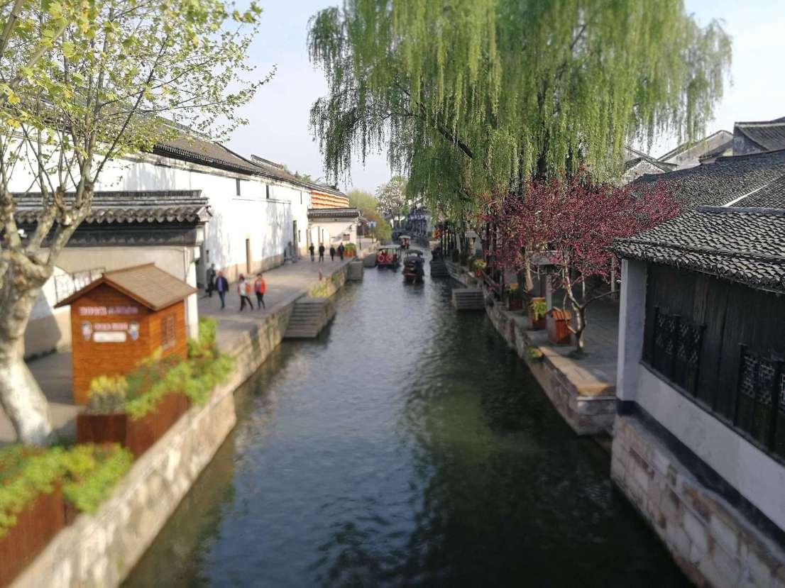 拯救精灵的土地9
